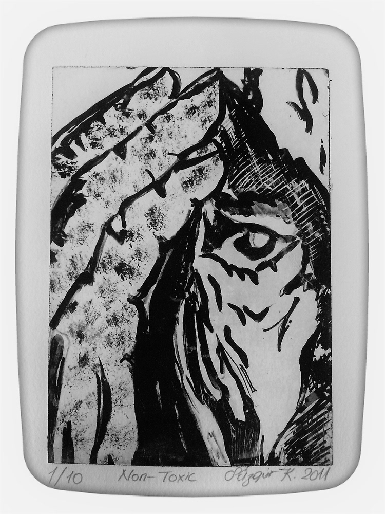 İsimsiz, 14,8 x 21 cm, 2011, Non-Toksik Metal Gravür Baskı