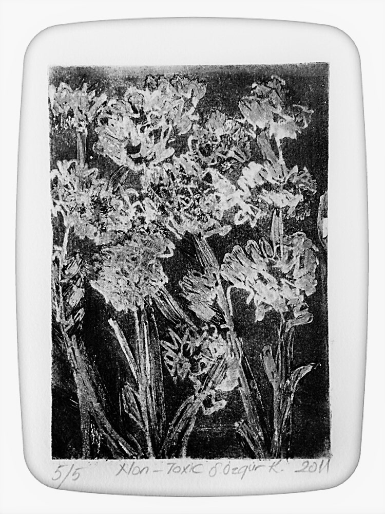 İsimsiz, 14,8 x 21 cm, 2011, Non-Toksik Metal Gravür Baskı