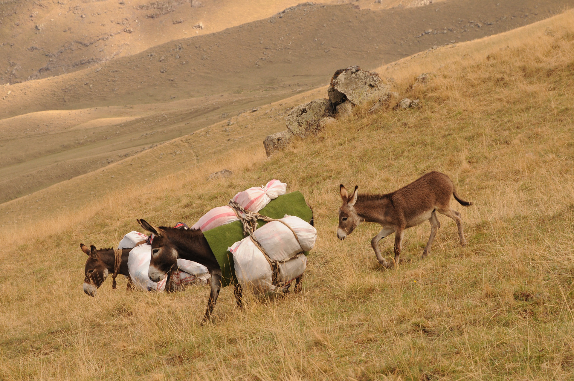 İsimsiz, 50x70, Dijital Fotoğraf, 2011