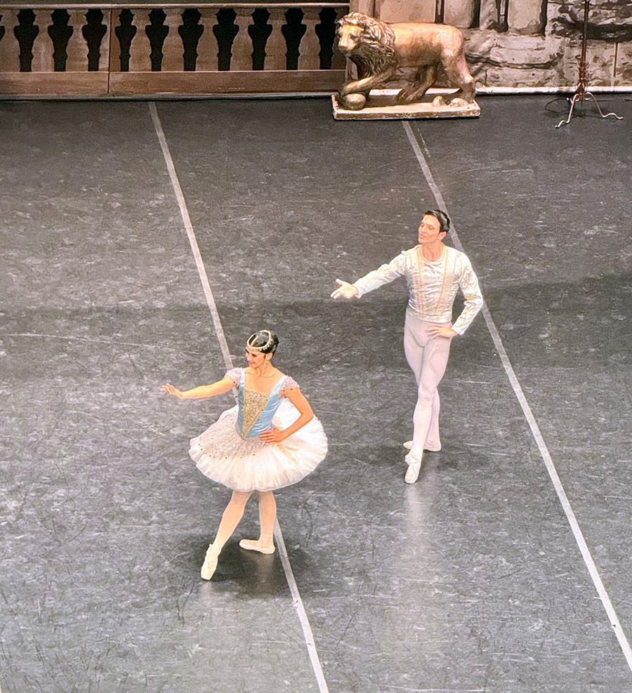 Aslı Erciyeş Tosun, Rythme Dans Le Ballet, 40x30, Dijital Fotoğraf, Şubat 2024