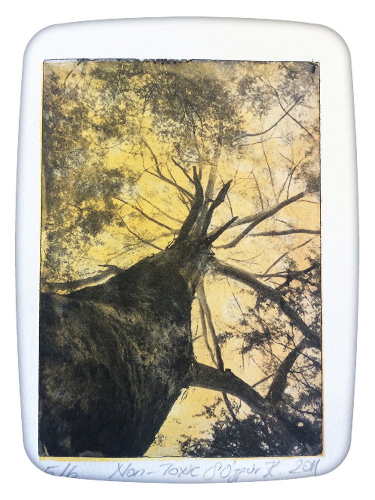 İsimsiz, 14,8 x 21 cm, 2011, Non-Toksik Metal Gravür Baskı