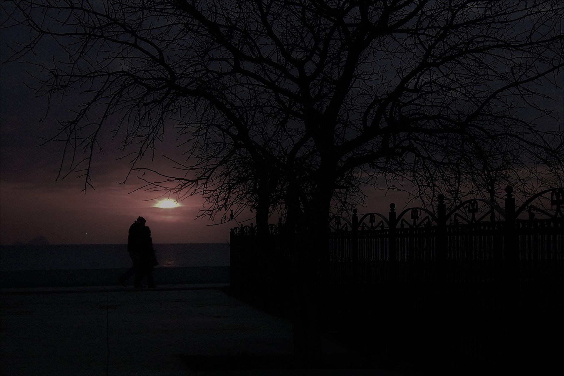 İki Âşık-I, Renkli fotoğraf; BOSTANCI-İSTANBUL-2008.