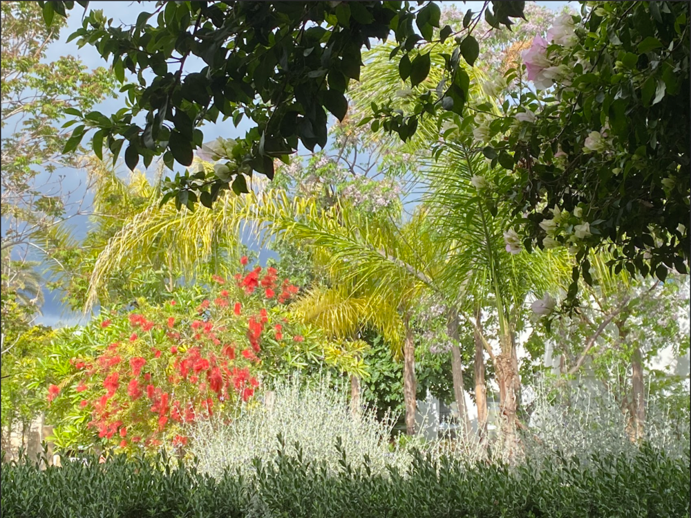 Elcin Sener, PARADISE