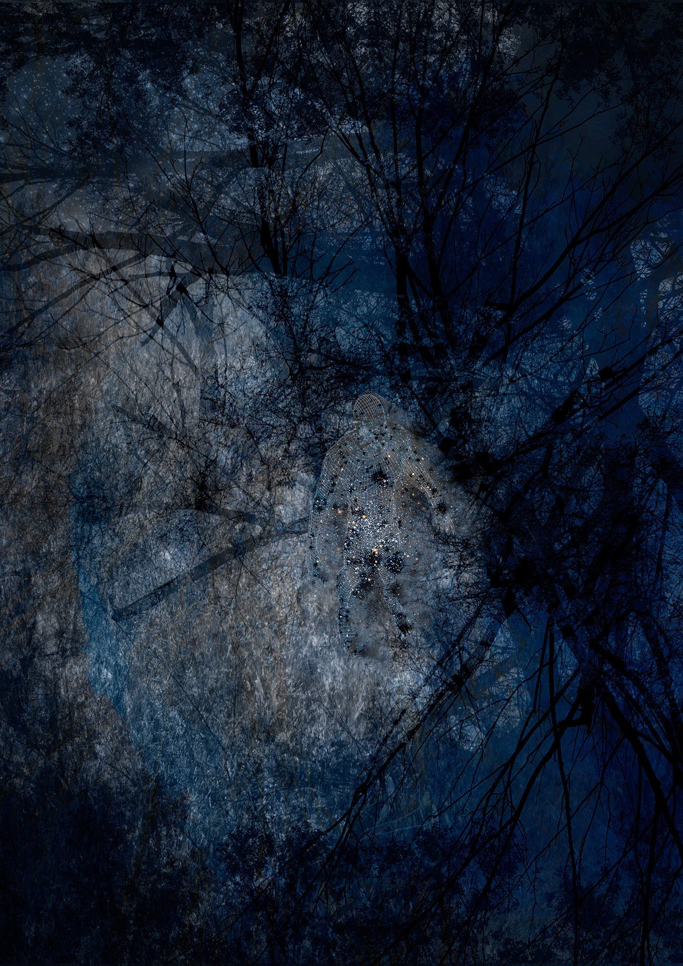 Fotografia cyfrowa, (technika cyfrowa), wydruk atramentowy pigmentowy 60x42 cm, 2019/2020