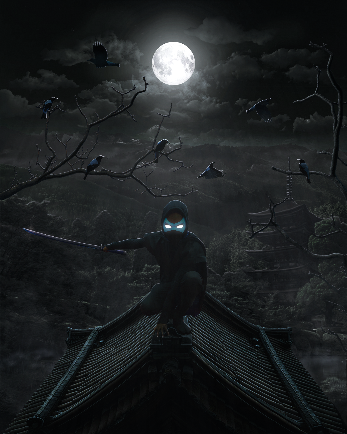 DC Comics "Nightwing" (Original Feudal Japan Version)