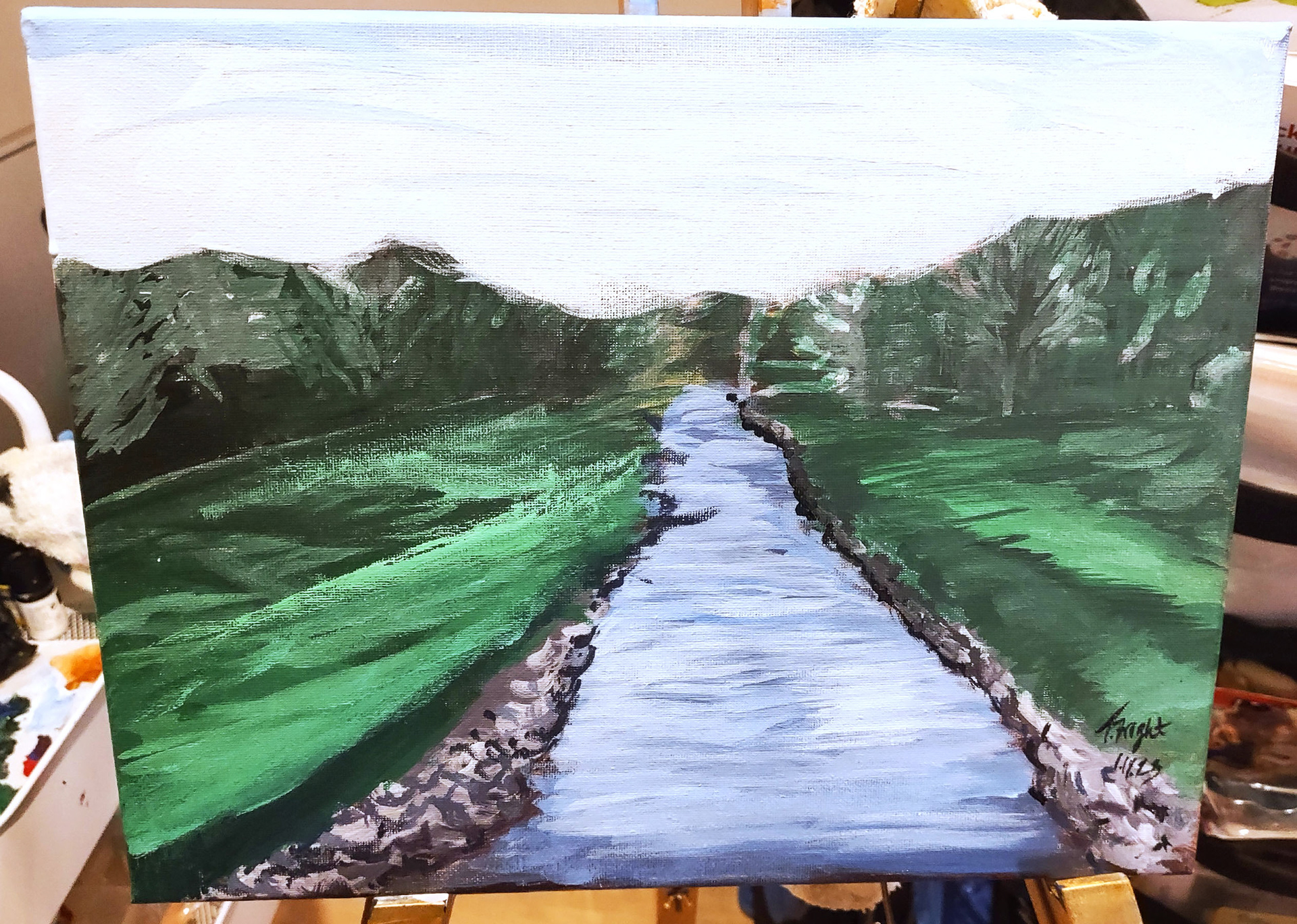 Water Waves this way - Acrylic 