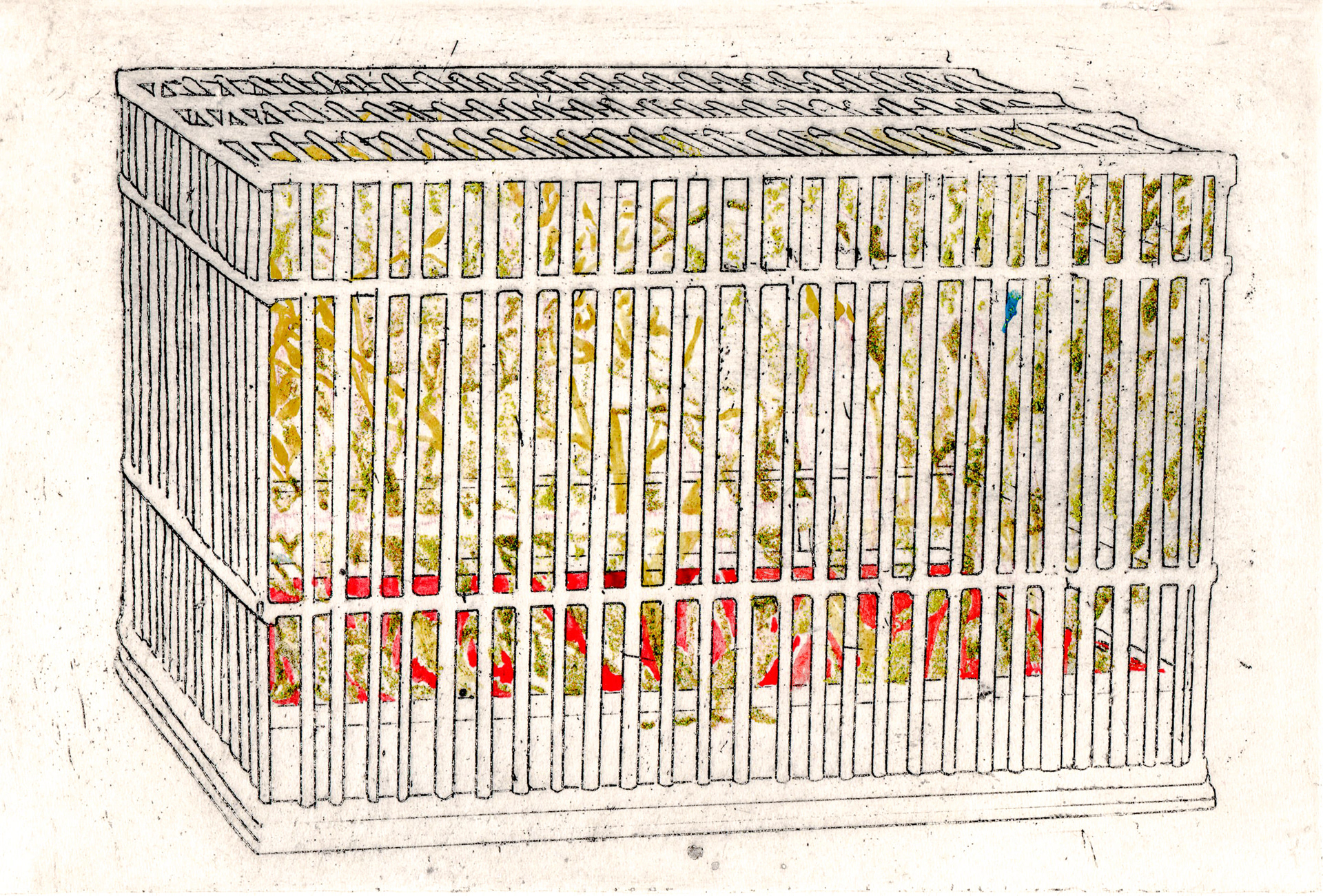 A cage 籠 /297×210mm/Mineral pigments on Intaglio