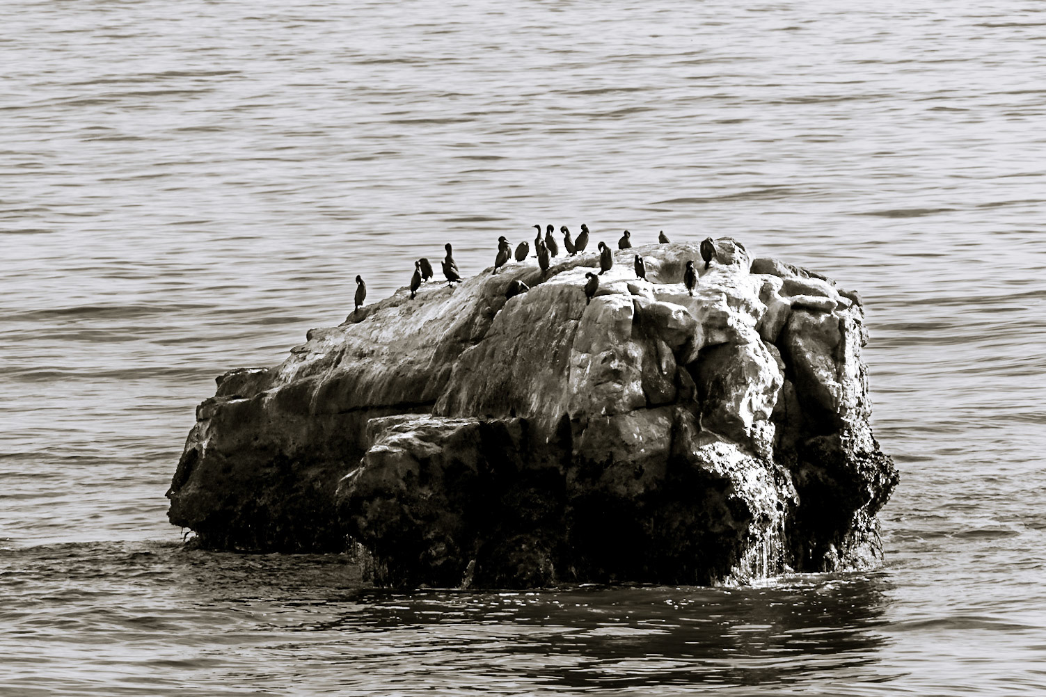 A Place to Rest; Seal Rock, Santa Cruz, California.