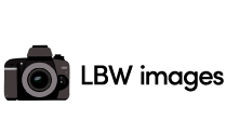 LBW Images