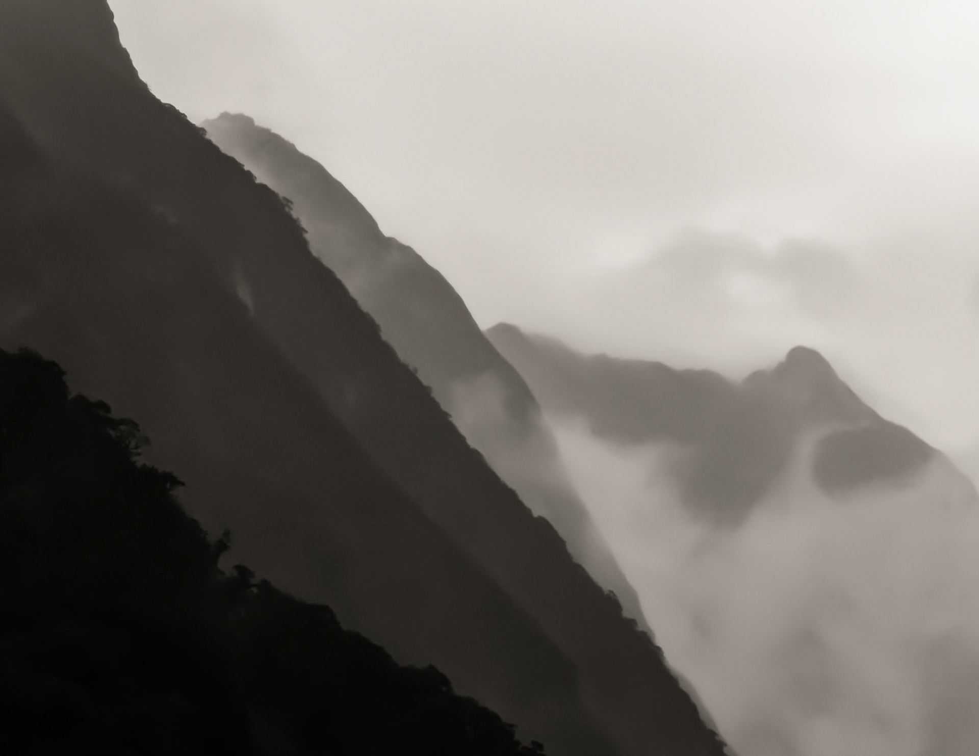 Misty Fjords I; Milford Sound