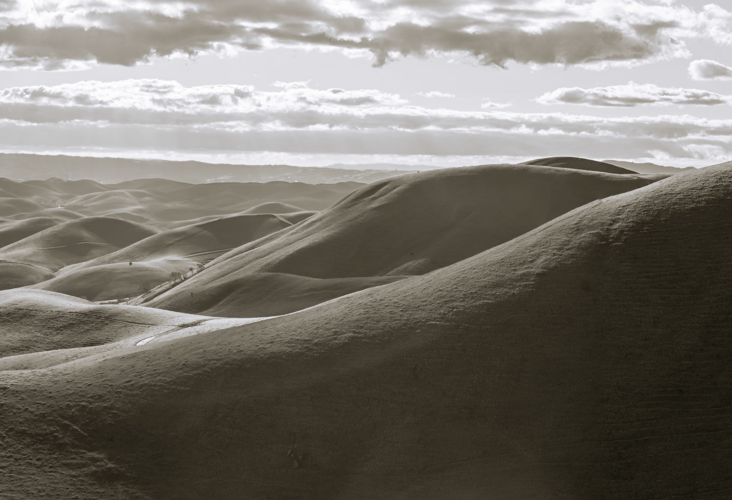 Rolling Hills, central CA