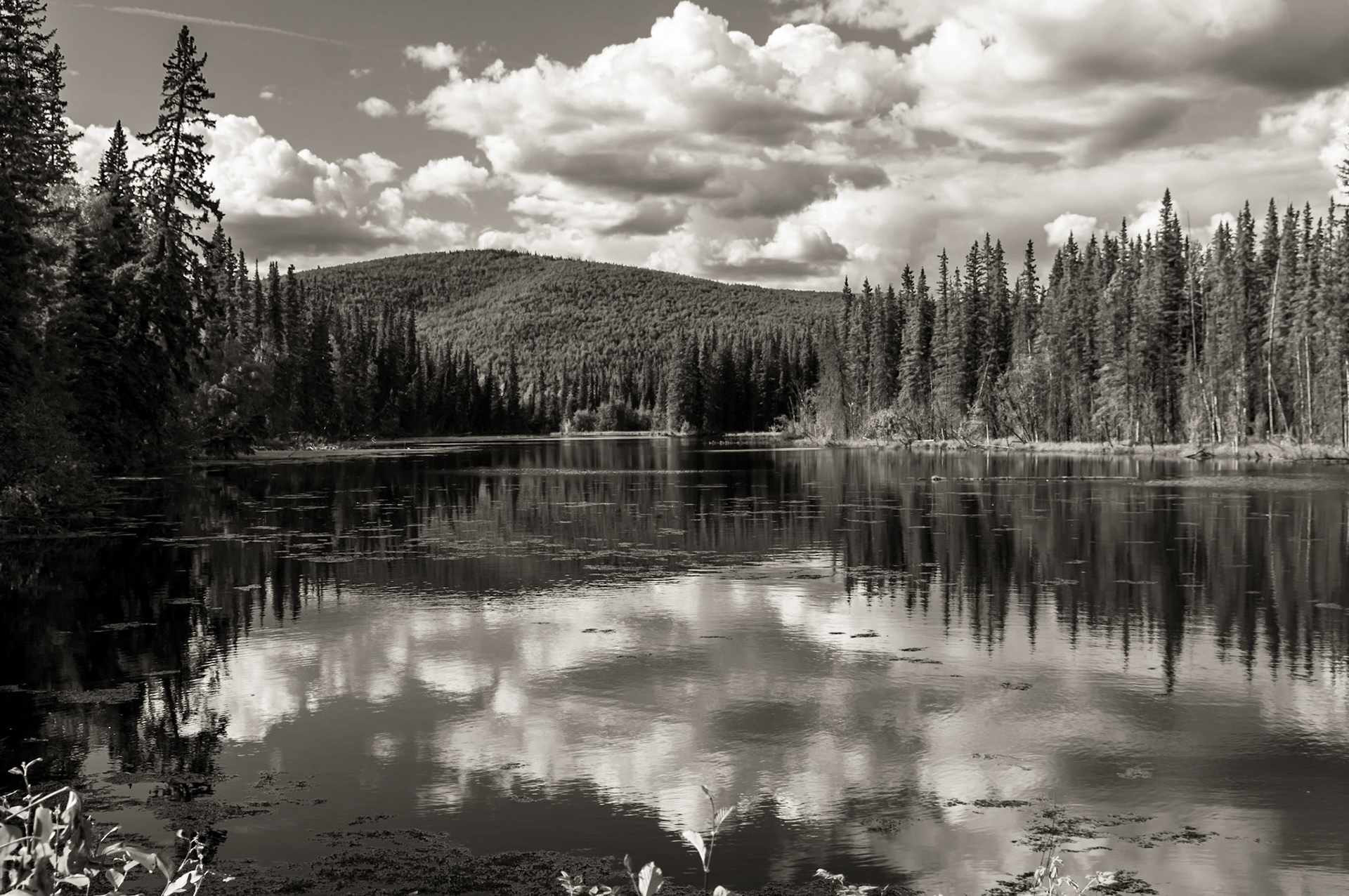 Reflections; Central Alaska