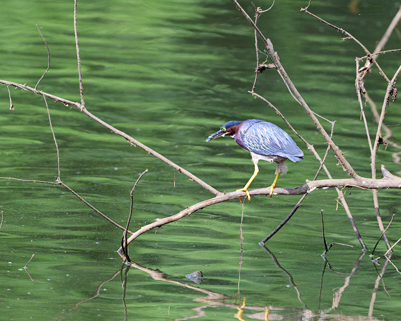 Waiting and watching