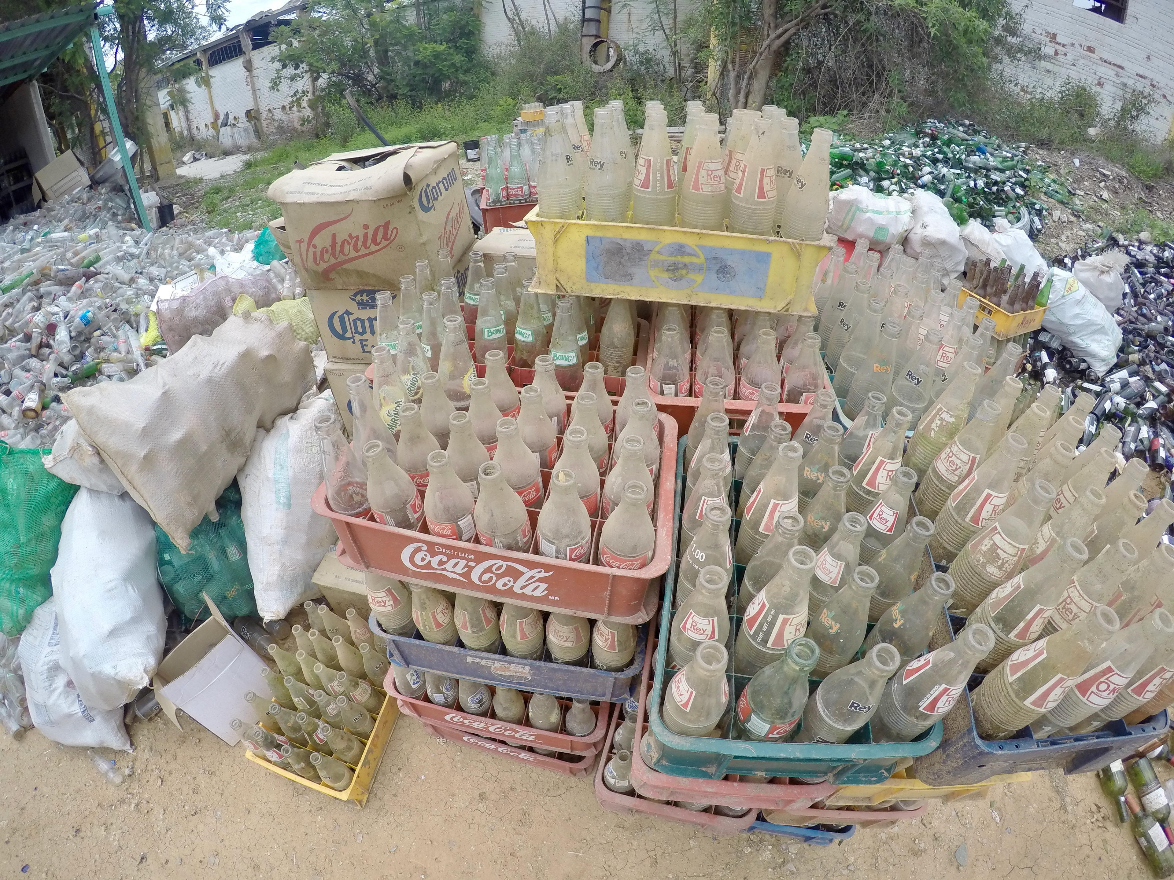 Waste Bottles