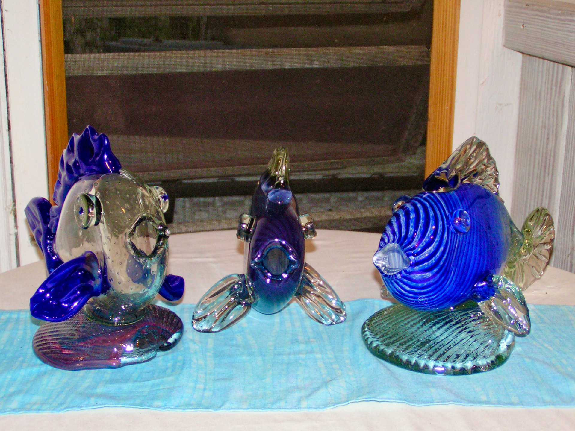 Caribbean Bottle Fish
