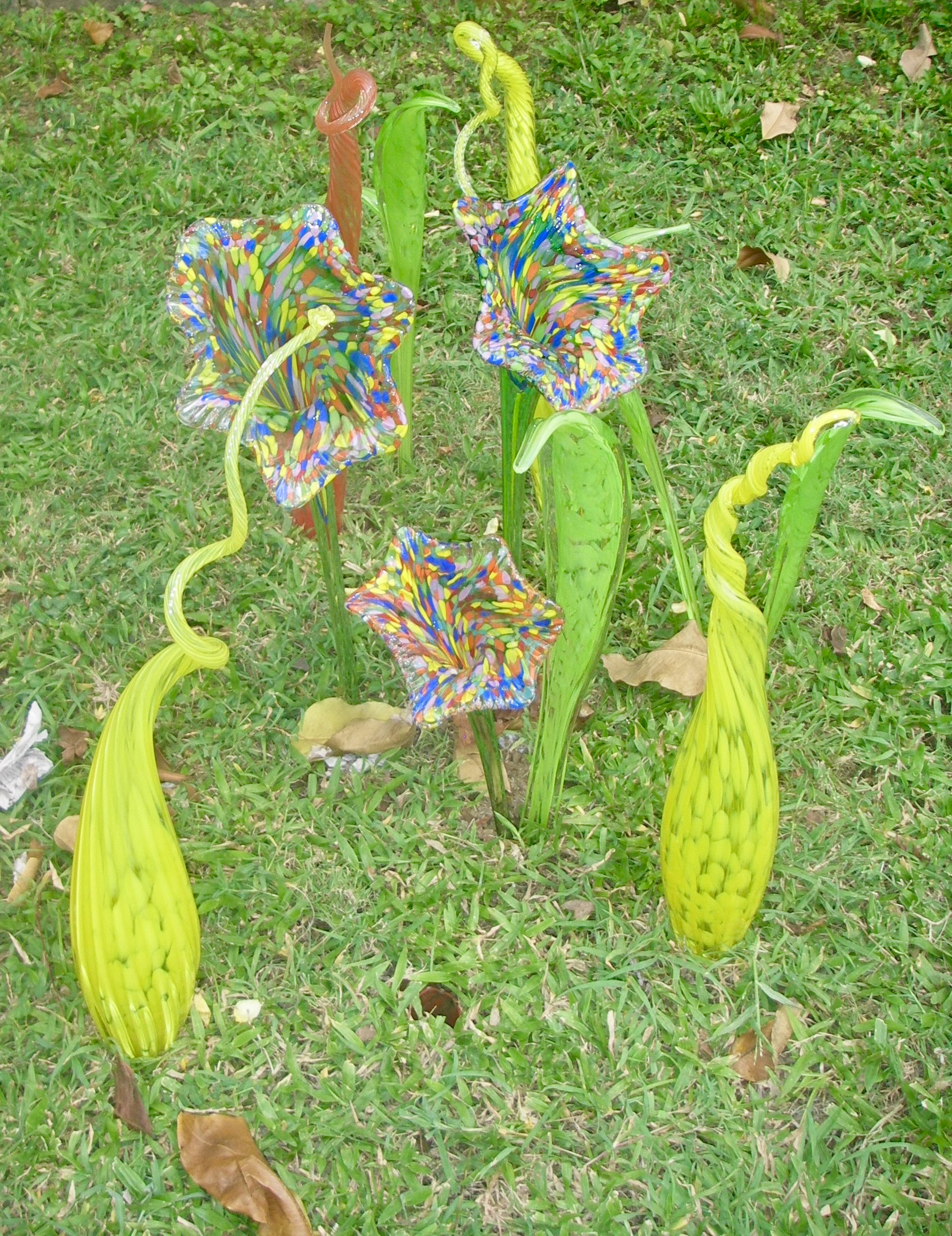 Garden Glass