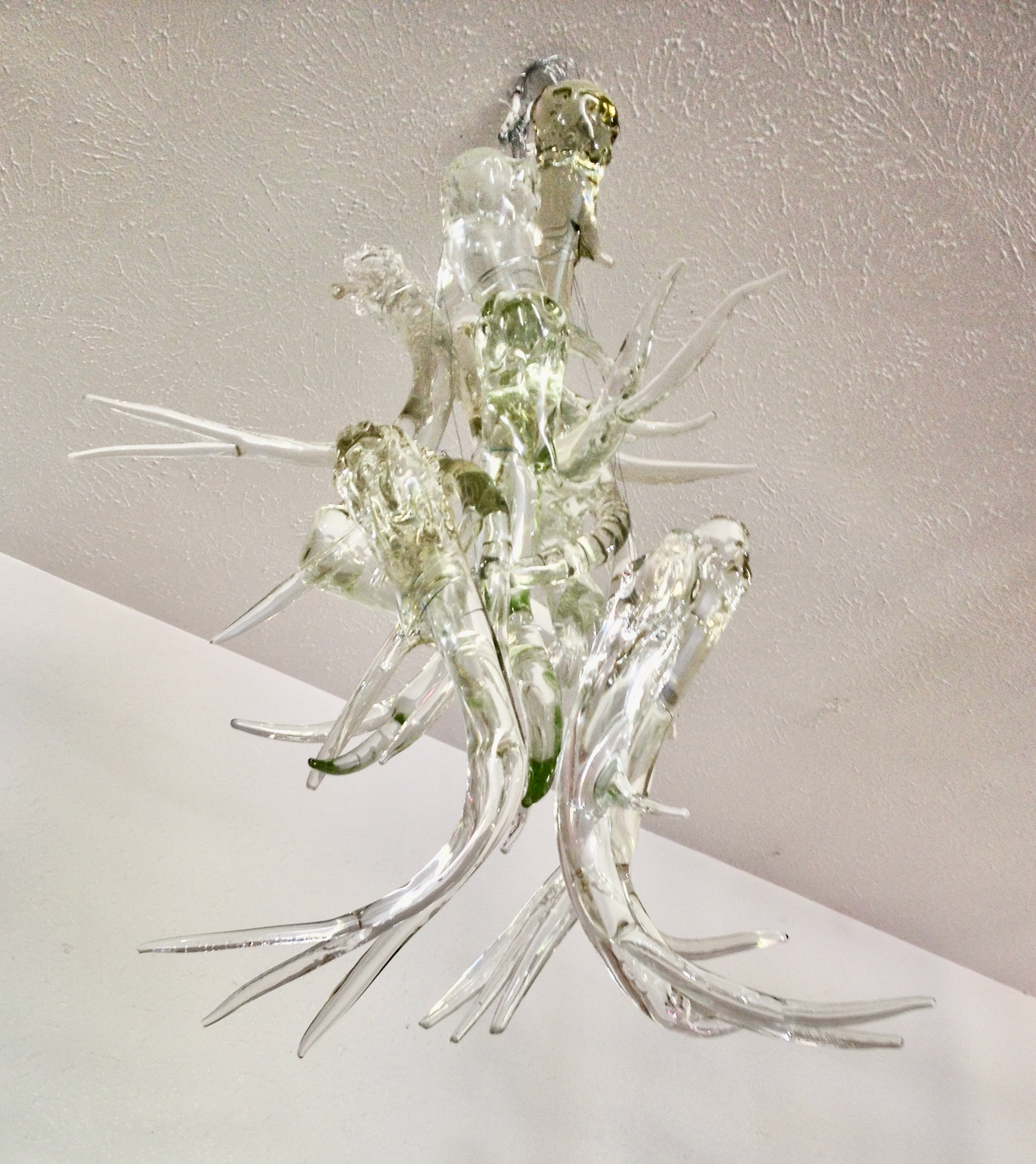 Deer Antlers