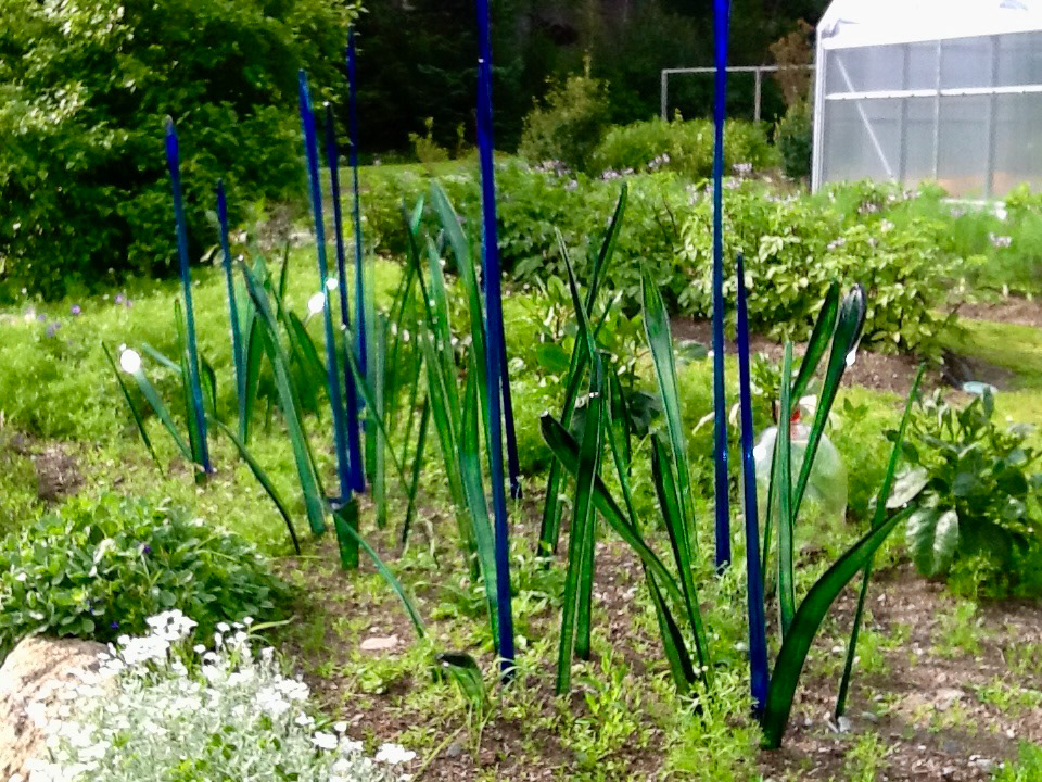 Garden Glass