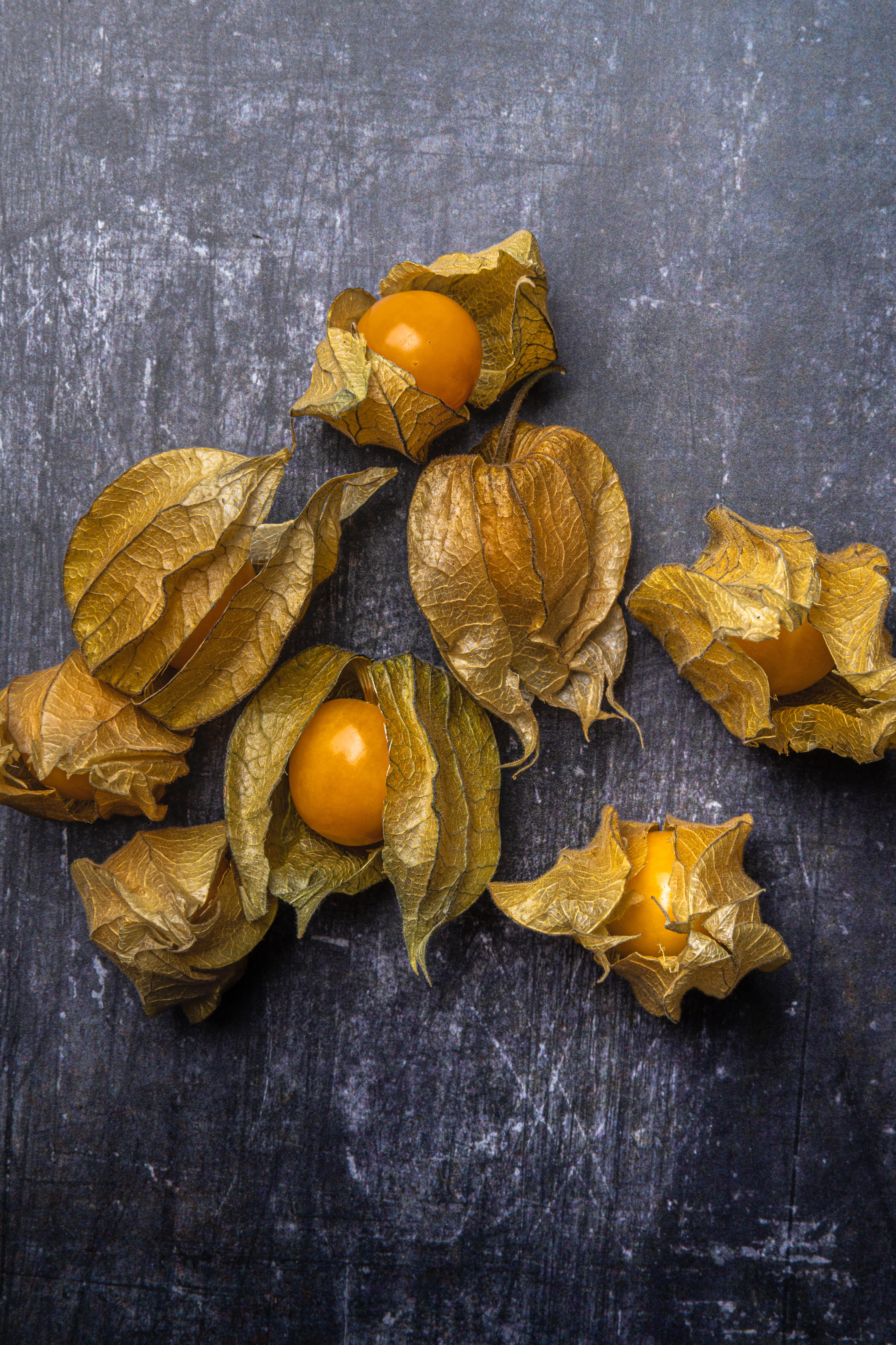 Physalis