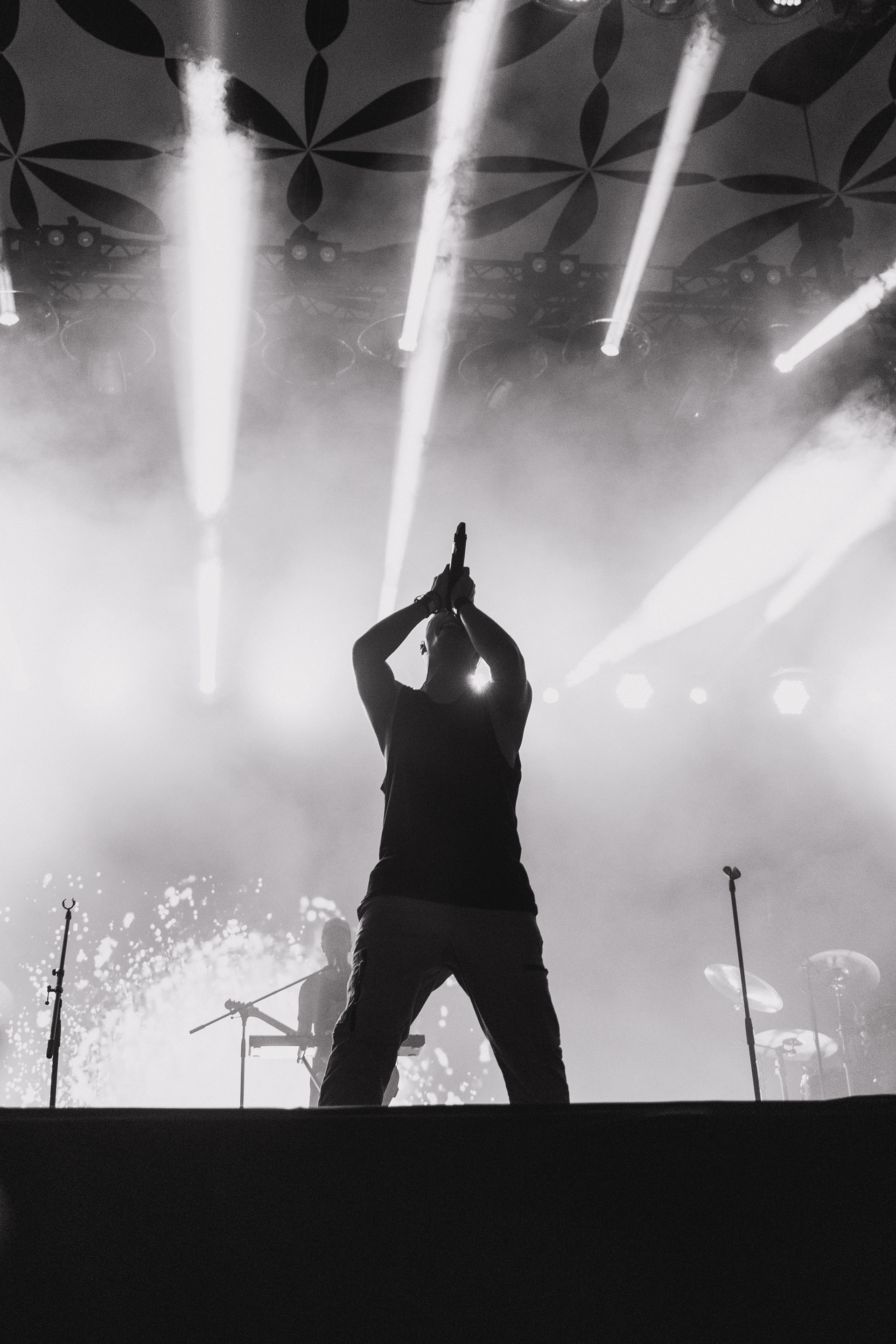 Hybrid Theory