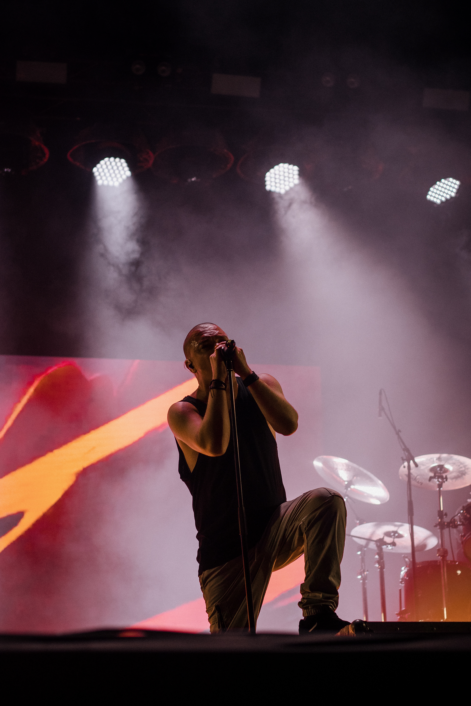 Hybrid Theory