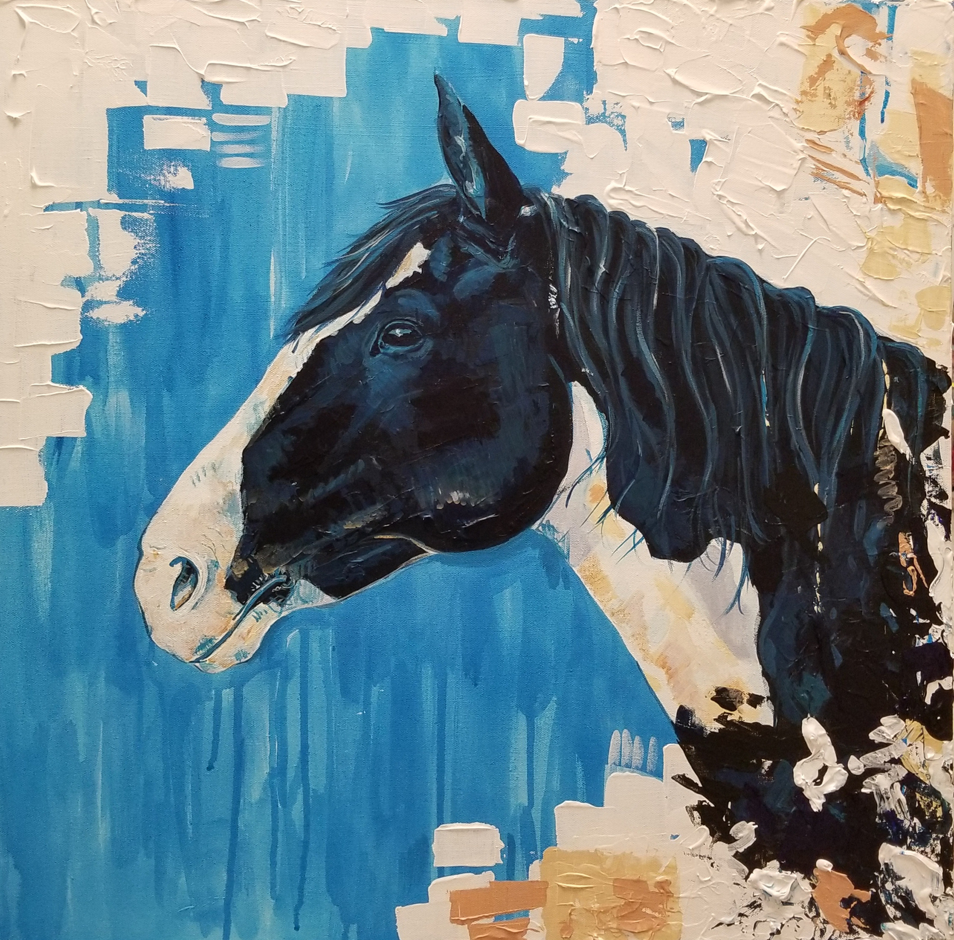 jessica slater art portfolio acrylic painting of a black and white paint horse portrait abstract