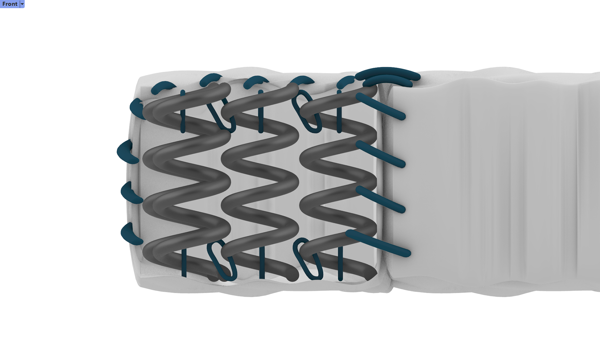 rendering by Shiyi Jin