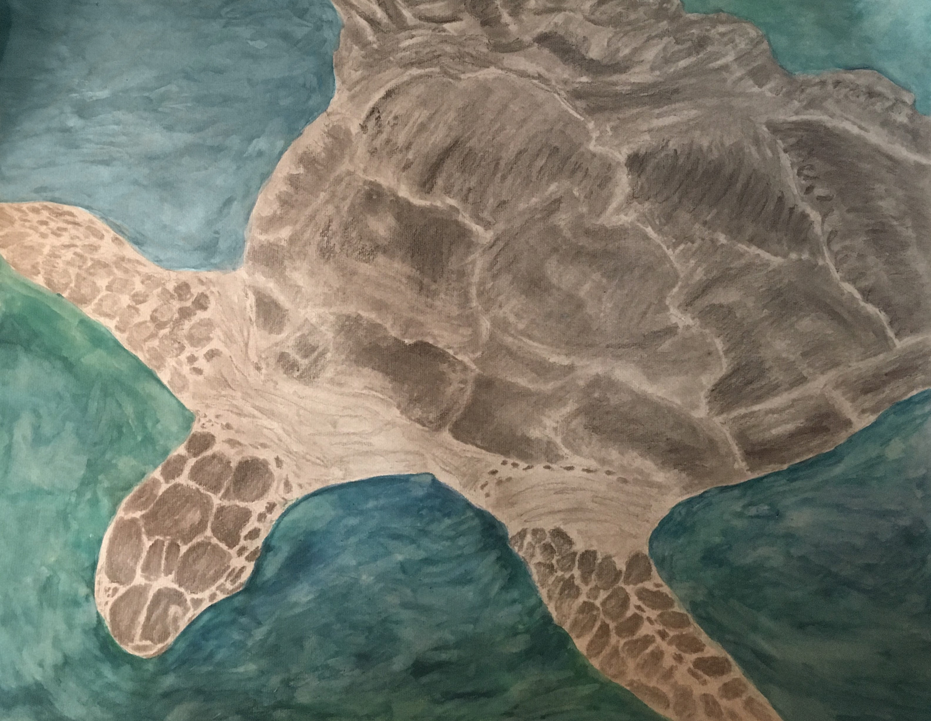 Turtles of Isla Mujeres  2 Mixed Media on Paper