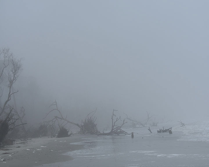 Hunter Island State Park, SC  3  Digital Photograph