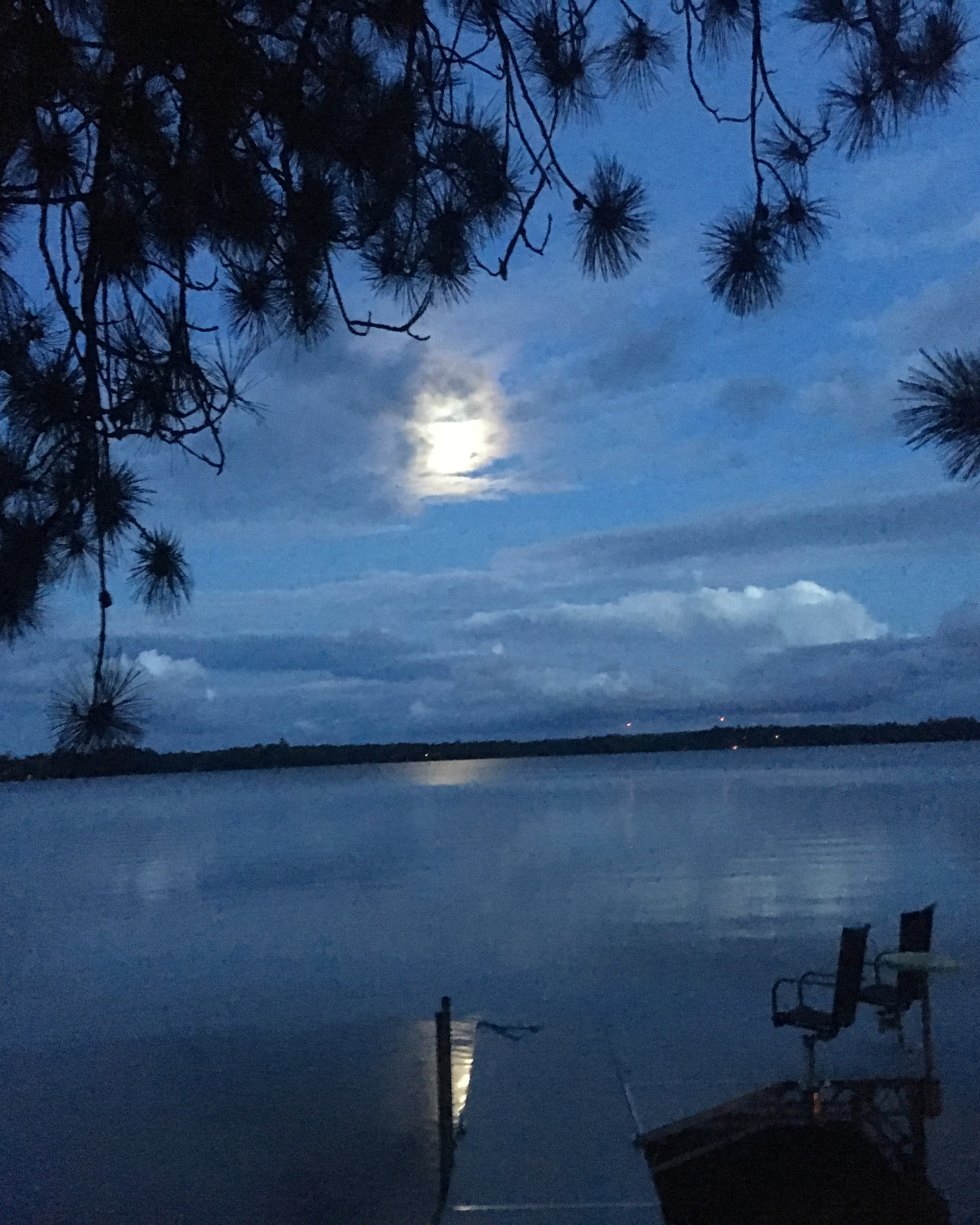 Moonlight Sonata  Digital Photograph