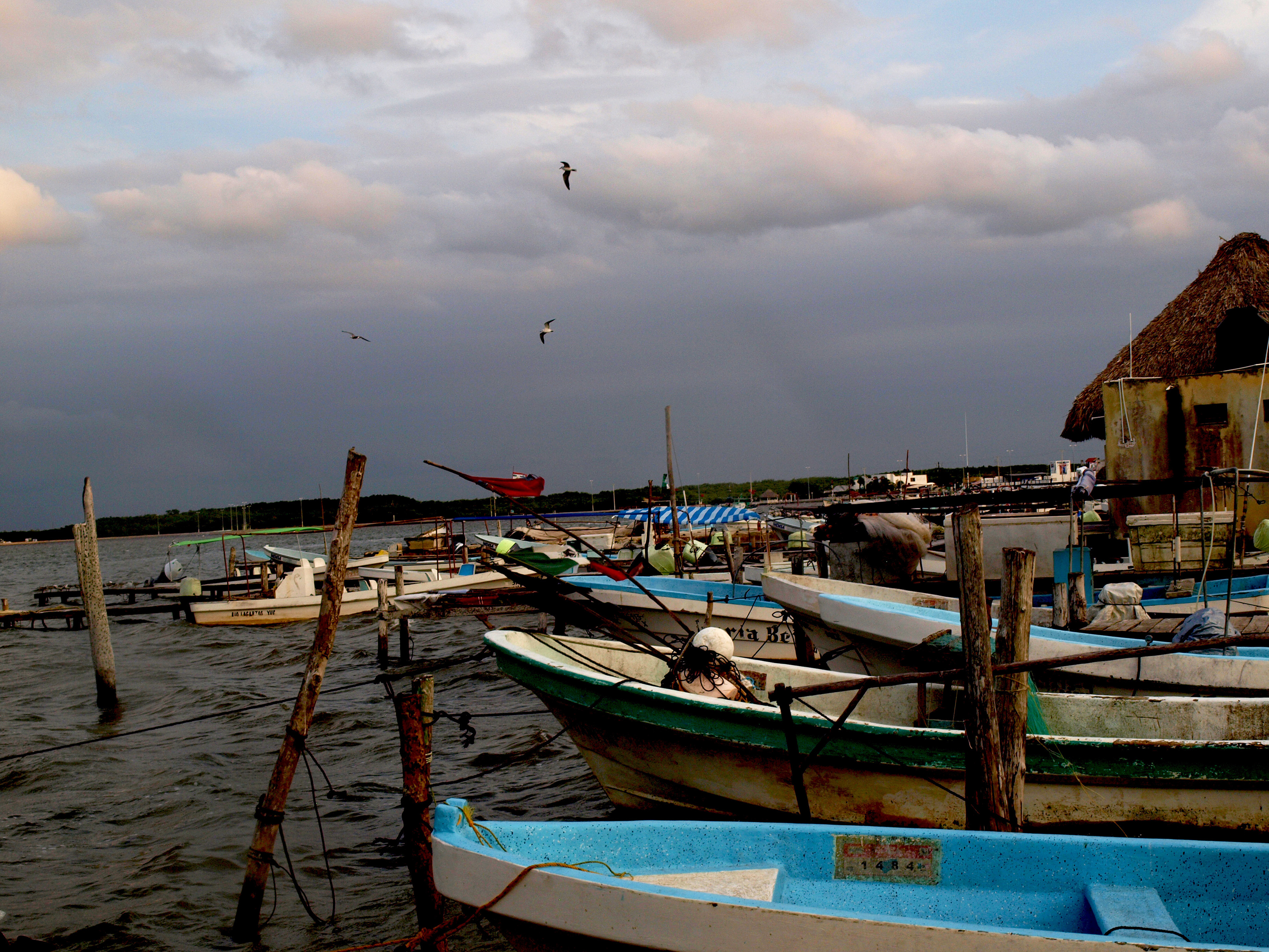 Rio Lagartos  Digital Photograph