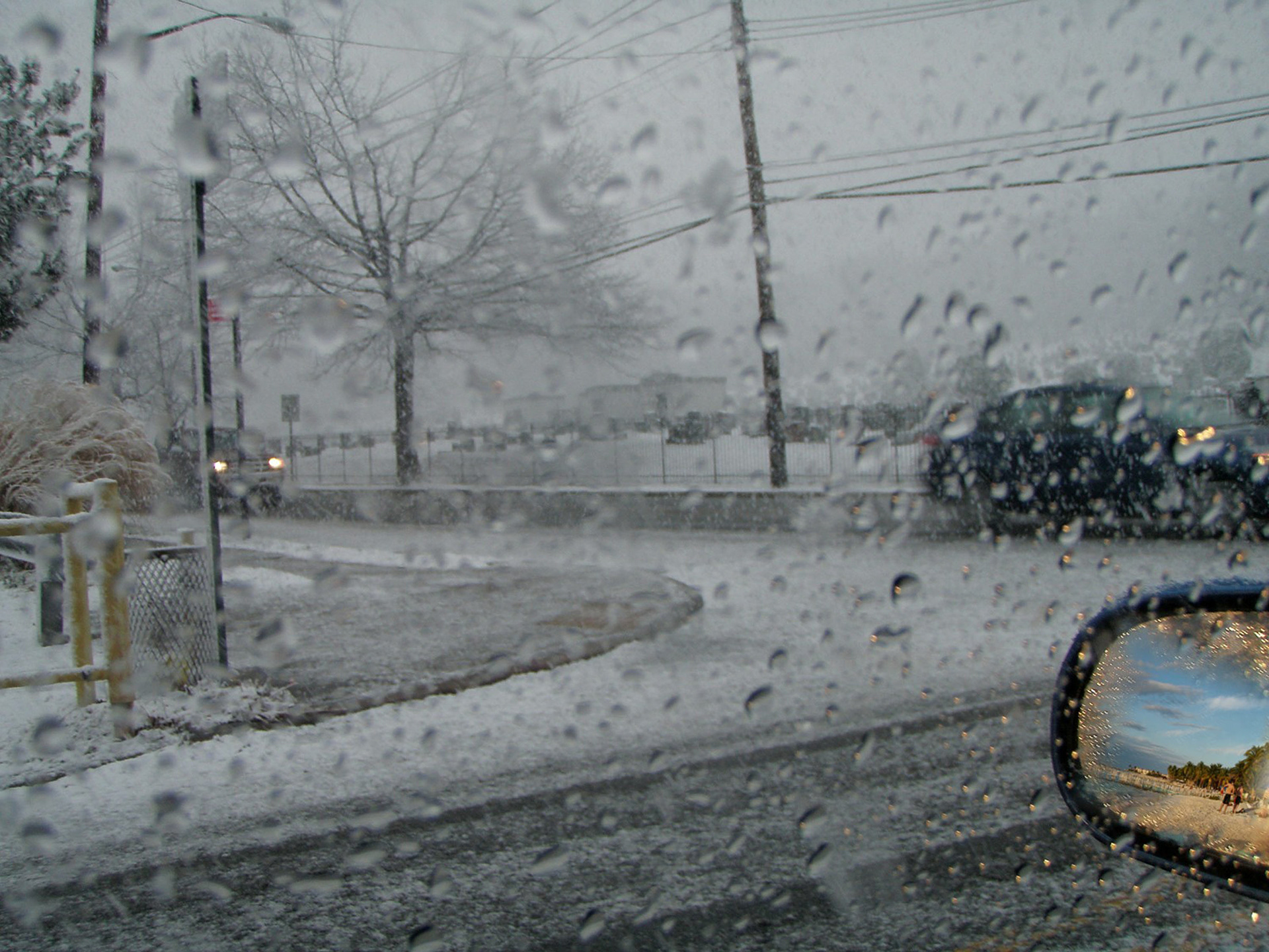 In Like a Lion 4  Digital Photograph