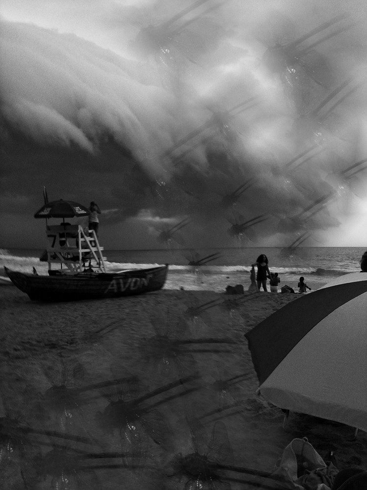 Another Day at the Beach 8  Digital Photograph