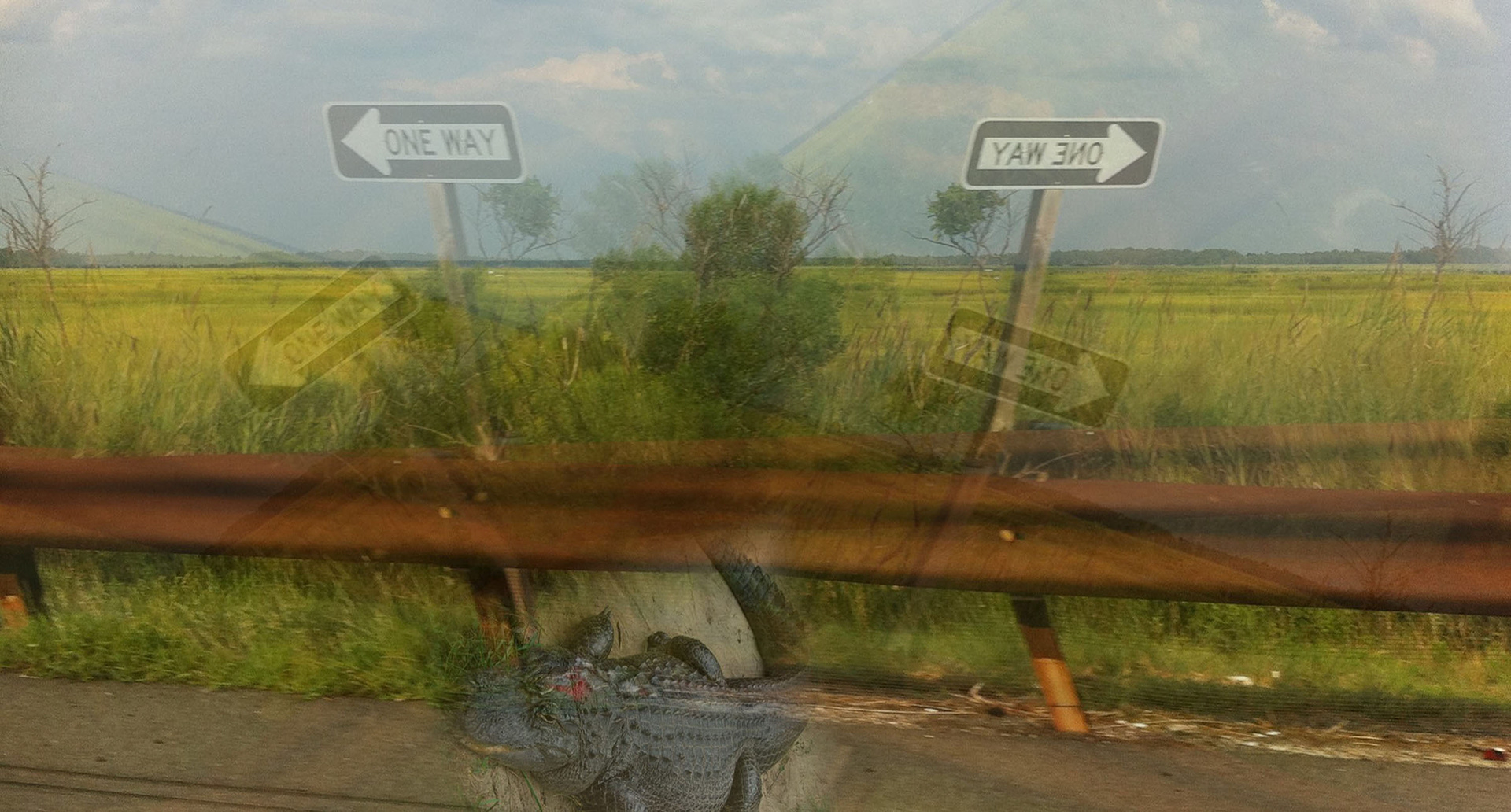 Which Way 3  Digital Photograph