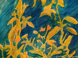 Wildflowers  Mixed Media on Paper