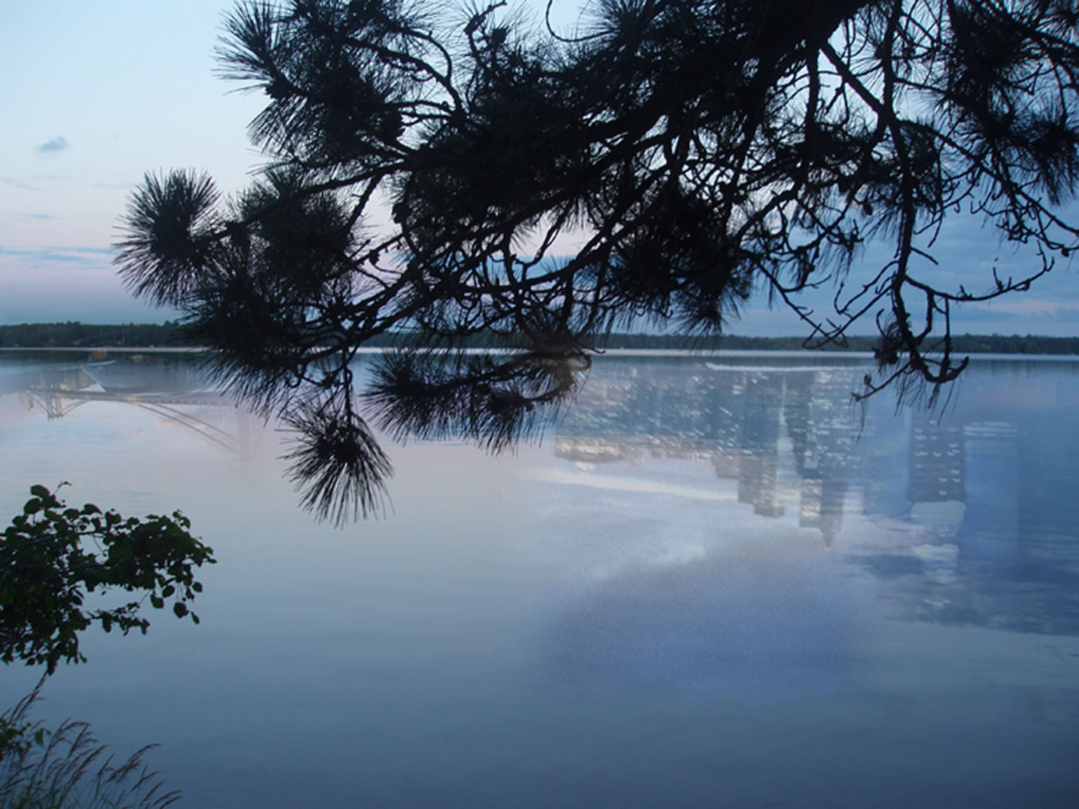 My Heart Belongs to...  Digital Photograph