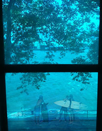 Surf's Up Governors Island   Digital Photograph