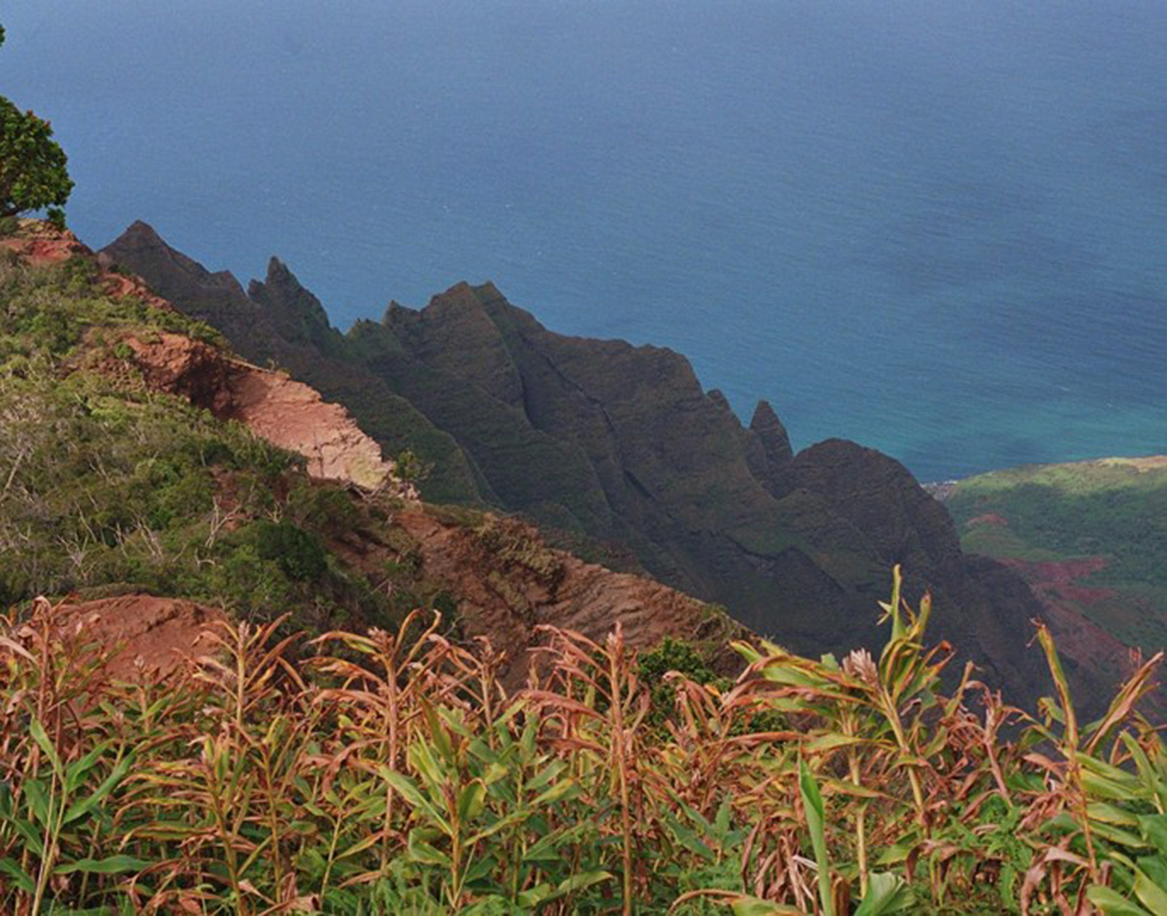 NaPali Coast, Kauai  35mm Color Photograph