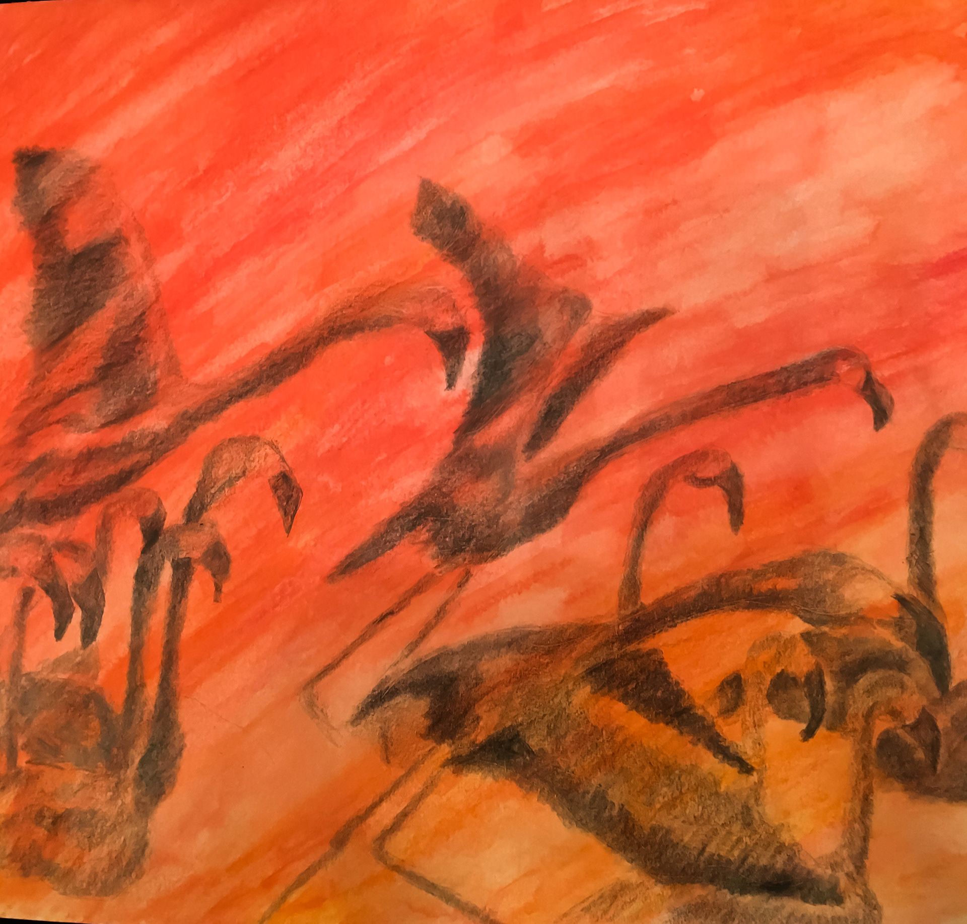 Flamingos of Rio Lagartos 2  Mixed Media on Paper