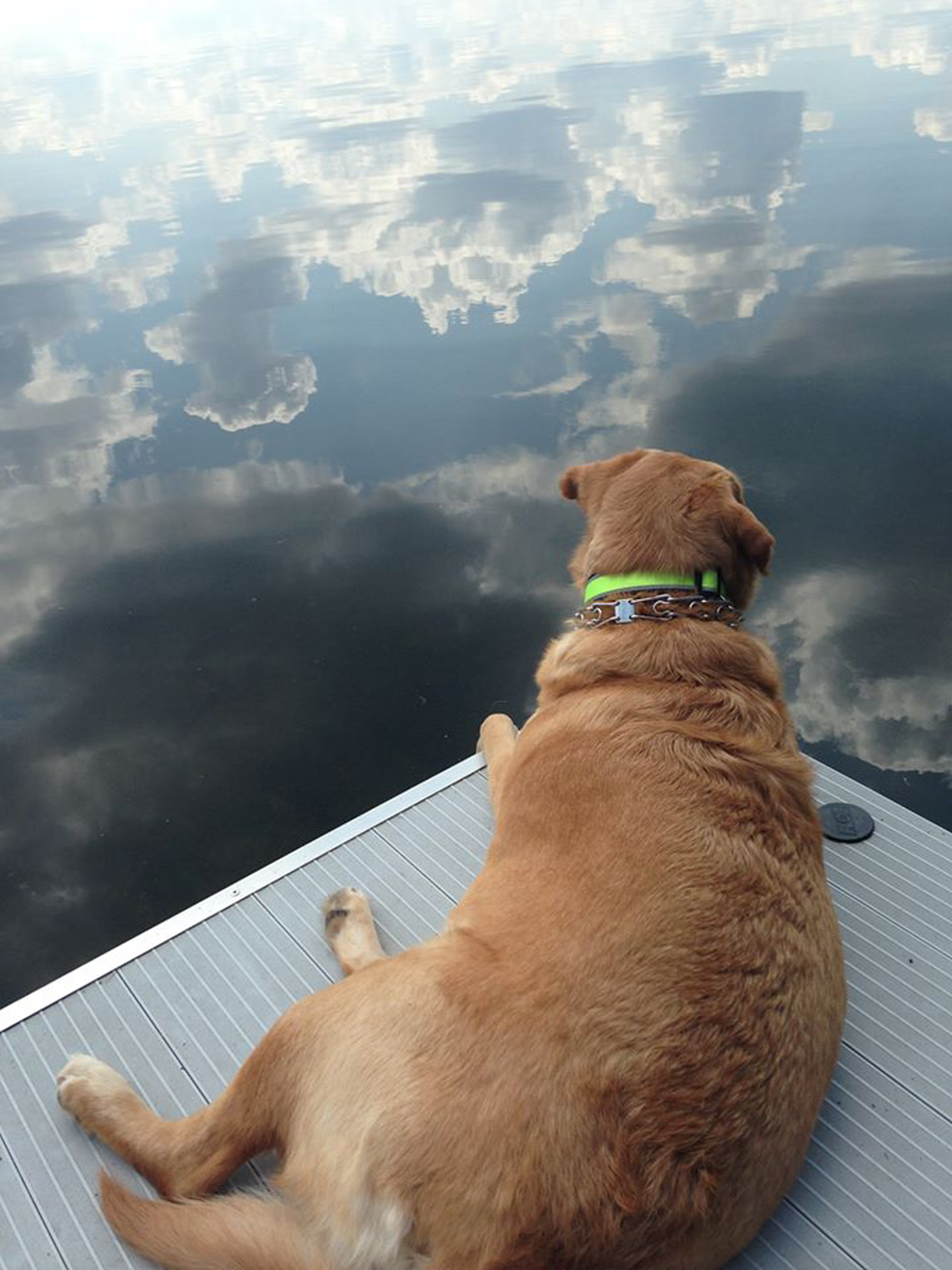 Conversions Contemplation  Digital Photograph