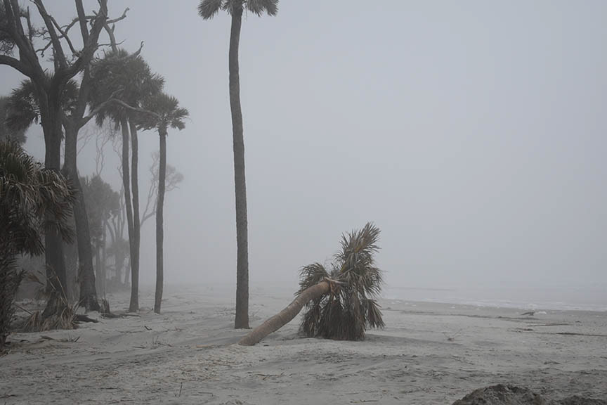 Hunter Island State Park, SC  2  Digital Photograph