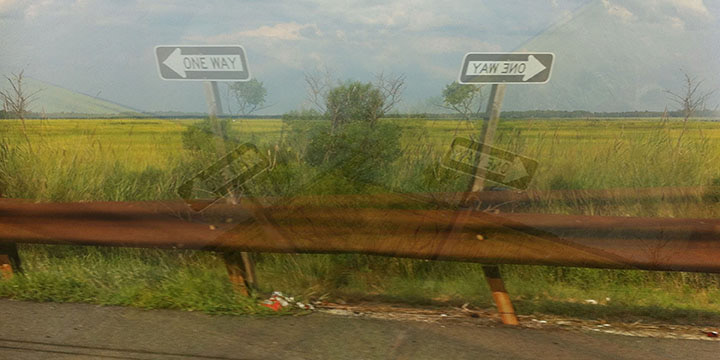 Which Way 2  Digital Photograph