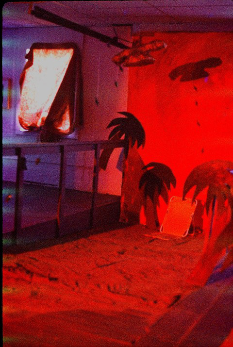 Alligator Drop Installation  Mixed Media