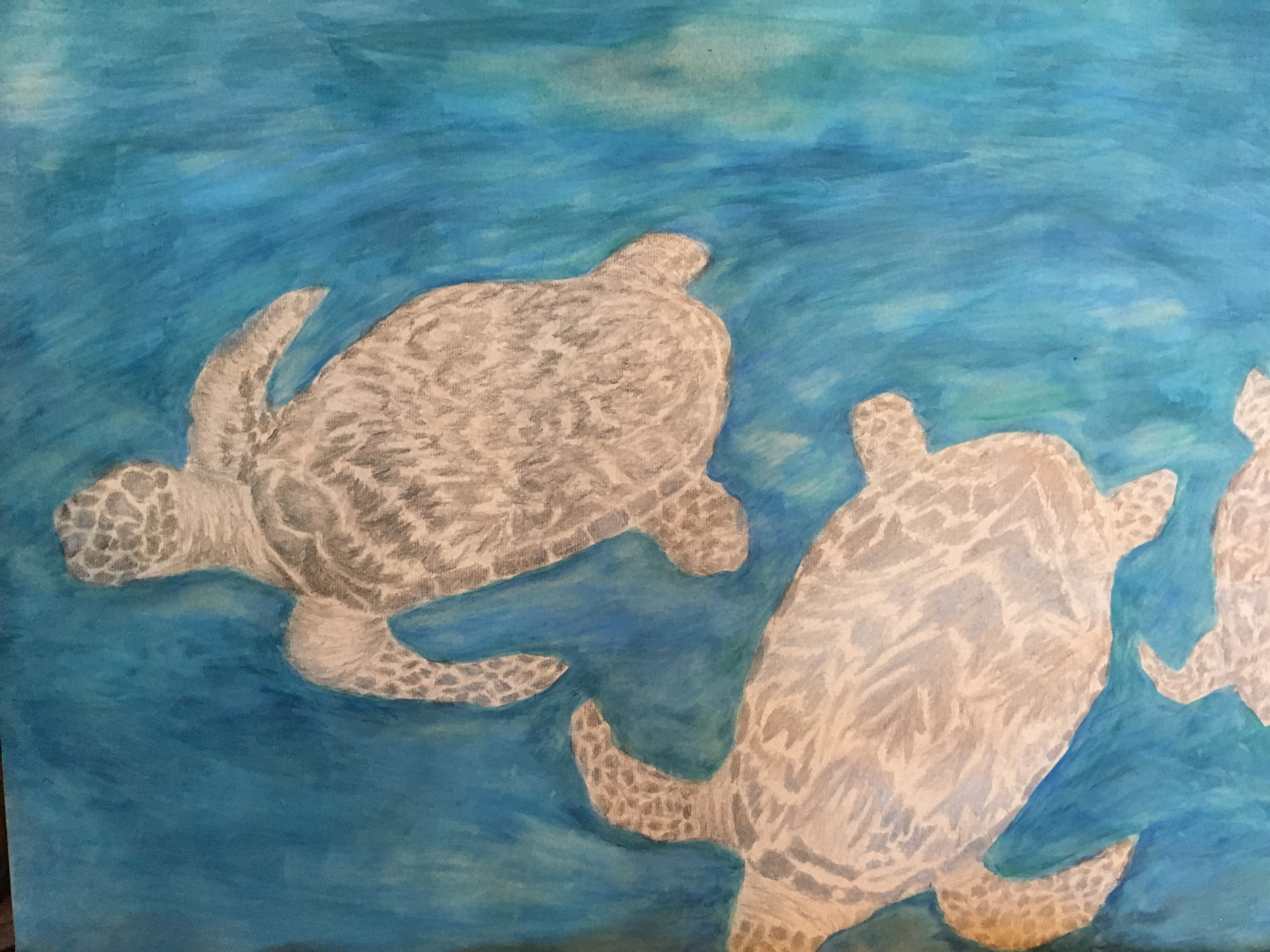 Turtles of Isla Mujeres 3  MIxed Media on Paper