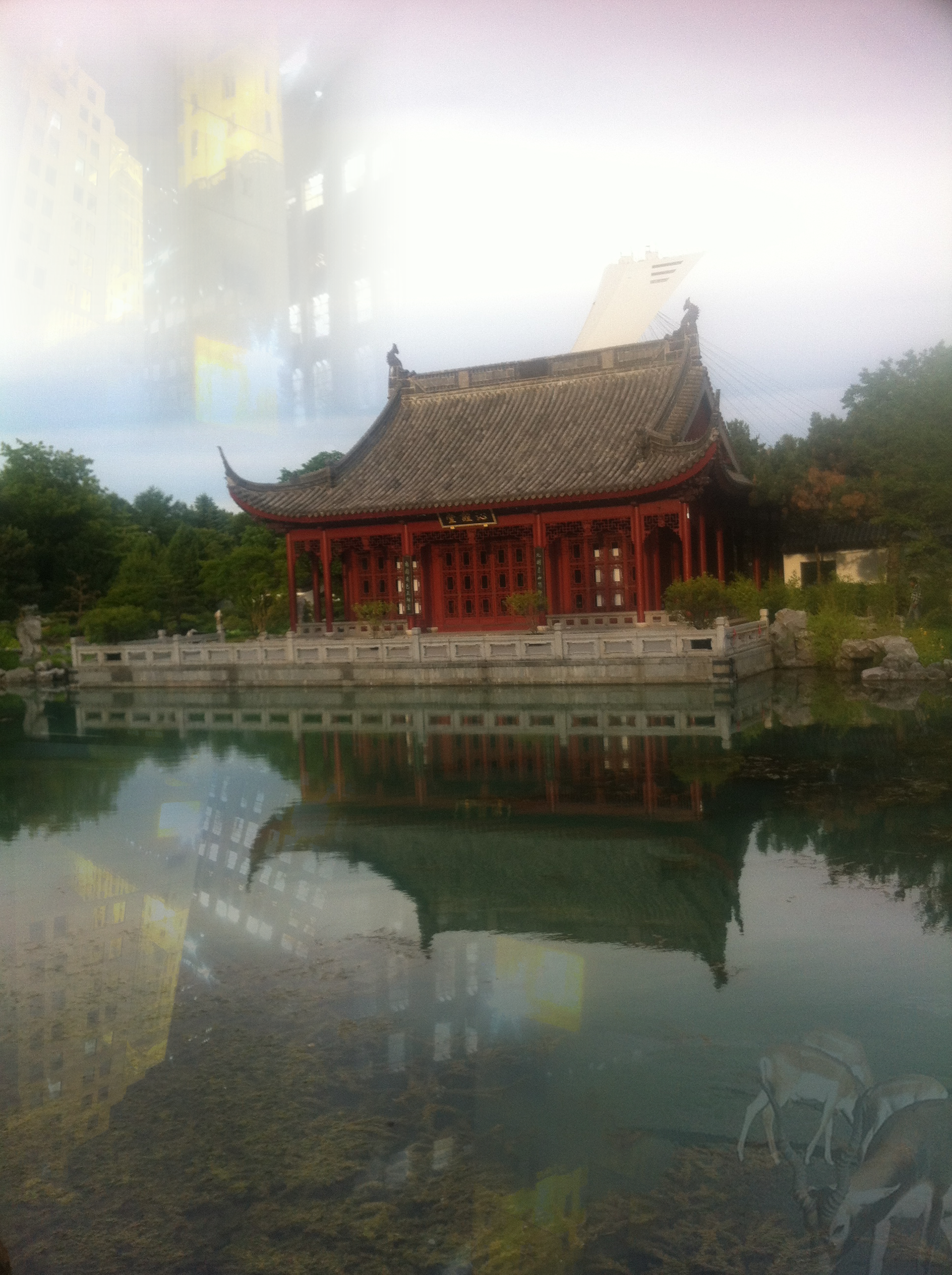 Montreal Botanical Gardens   Digital Photograph