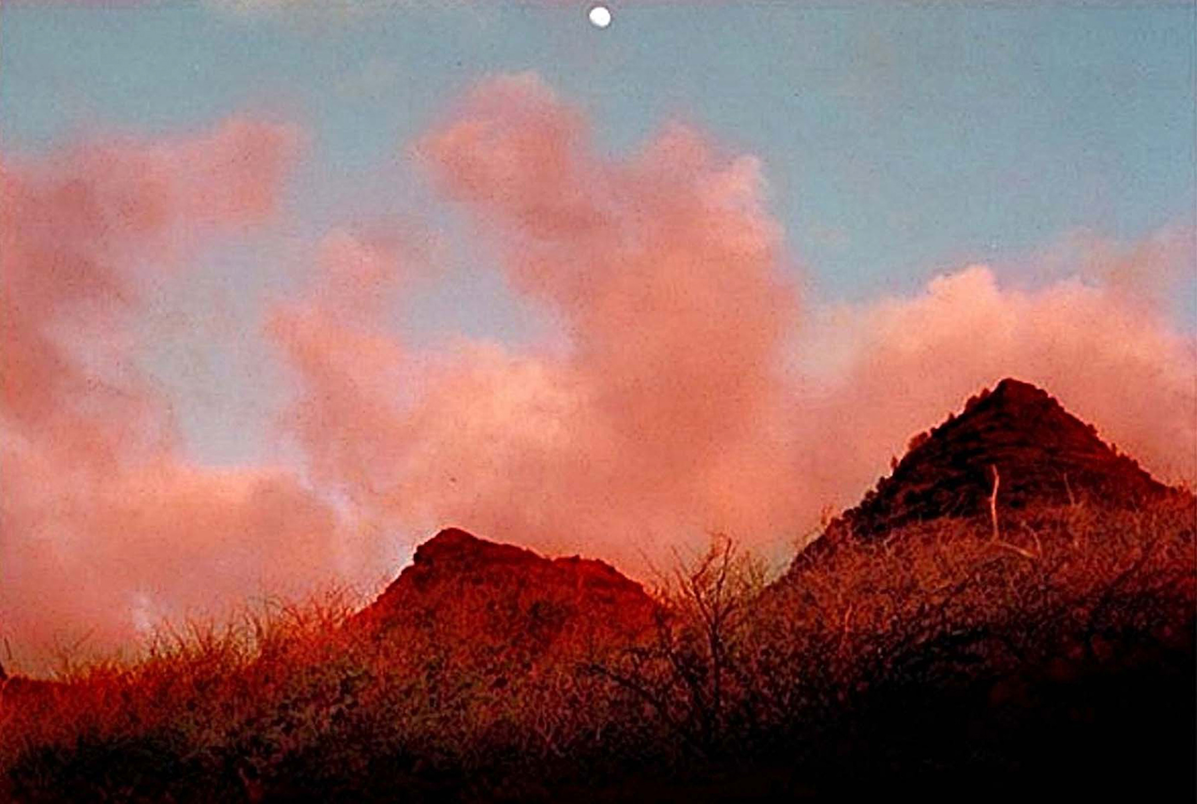 Polihale Coast, Kauai 2  35mm Color Photograp