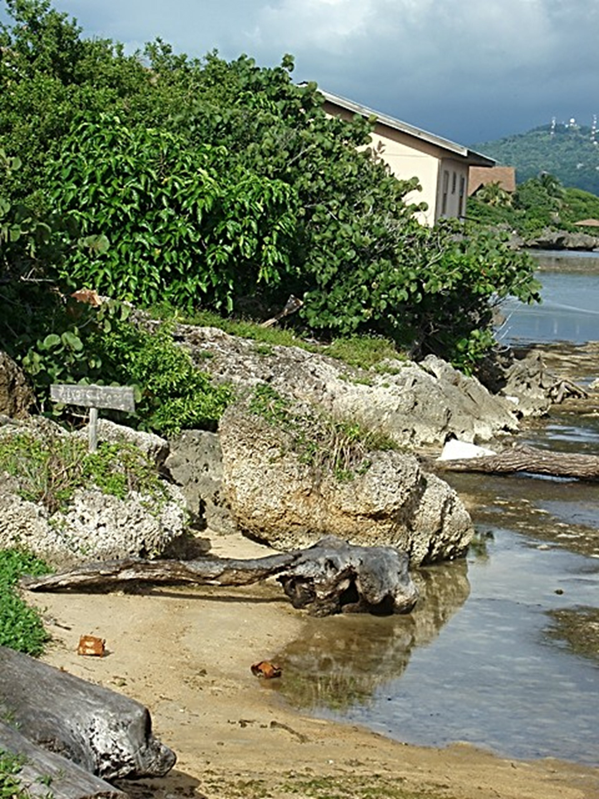 Belizean Time 13  Digital Photograph