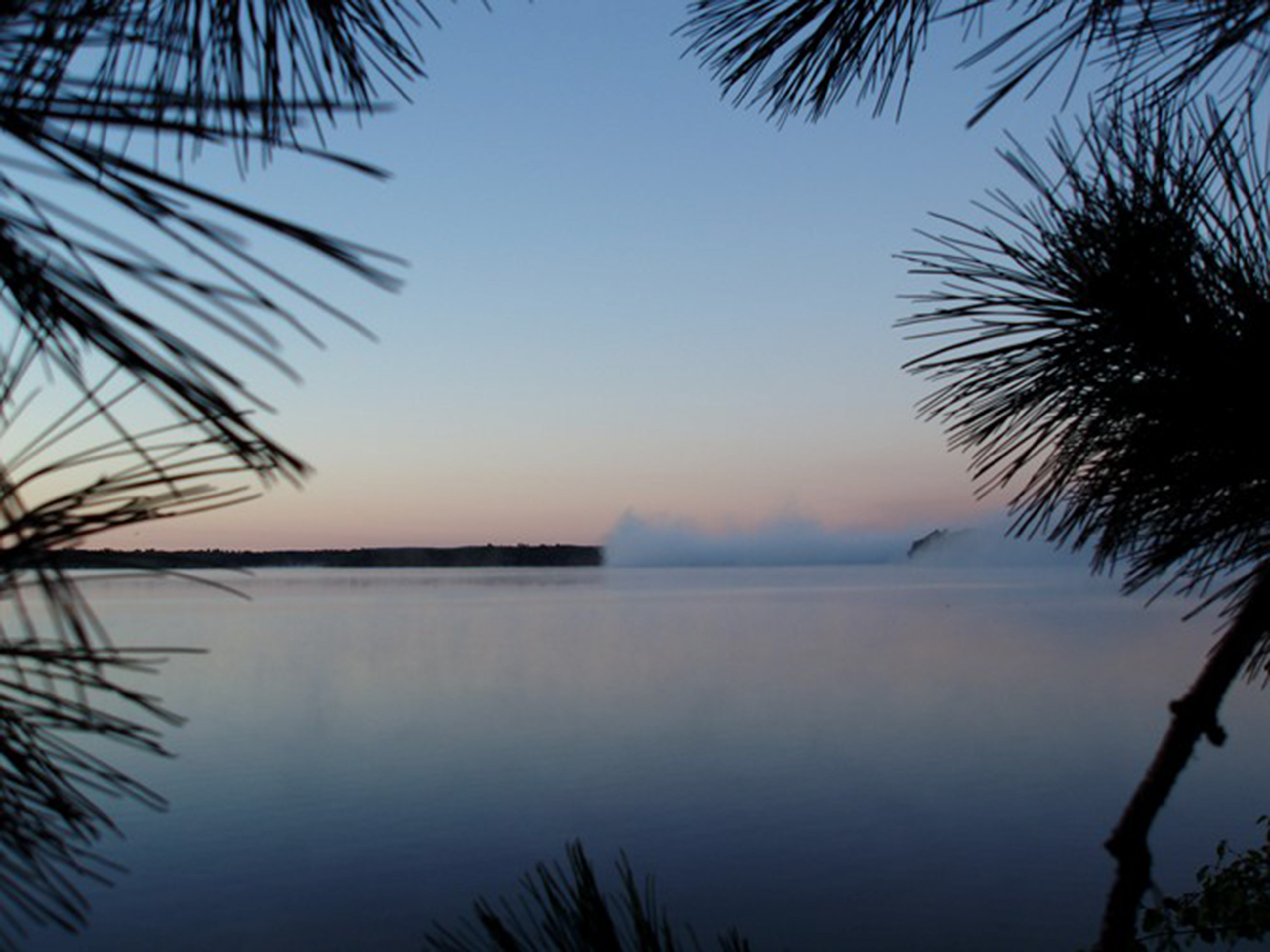 Minnesota Summer 5  Digital Photograph