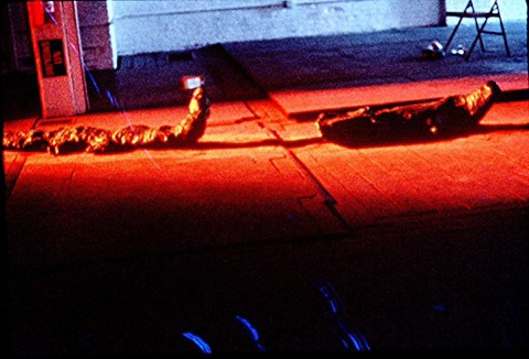 Alligator Drop View 3  Mixed Media