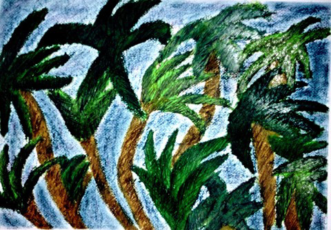 Palm Patch  Mixed Media on Paper